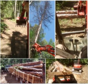 Forestry compilation photos - june 2016
